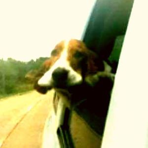 Meet your Posher, Aaron